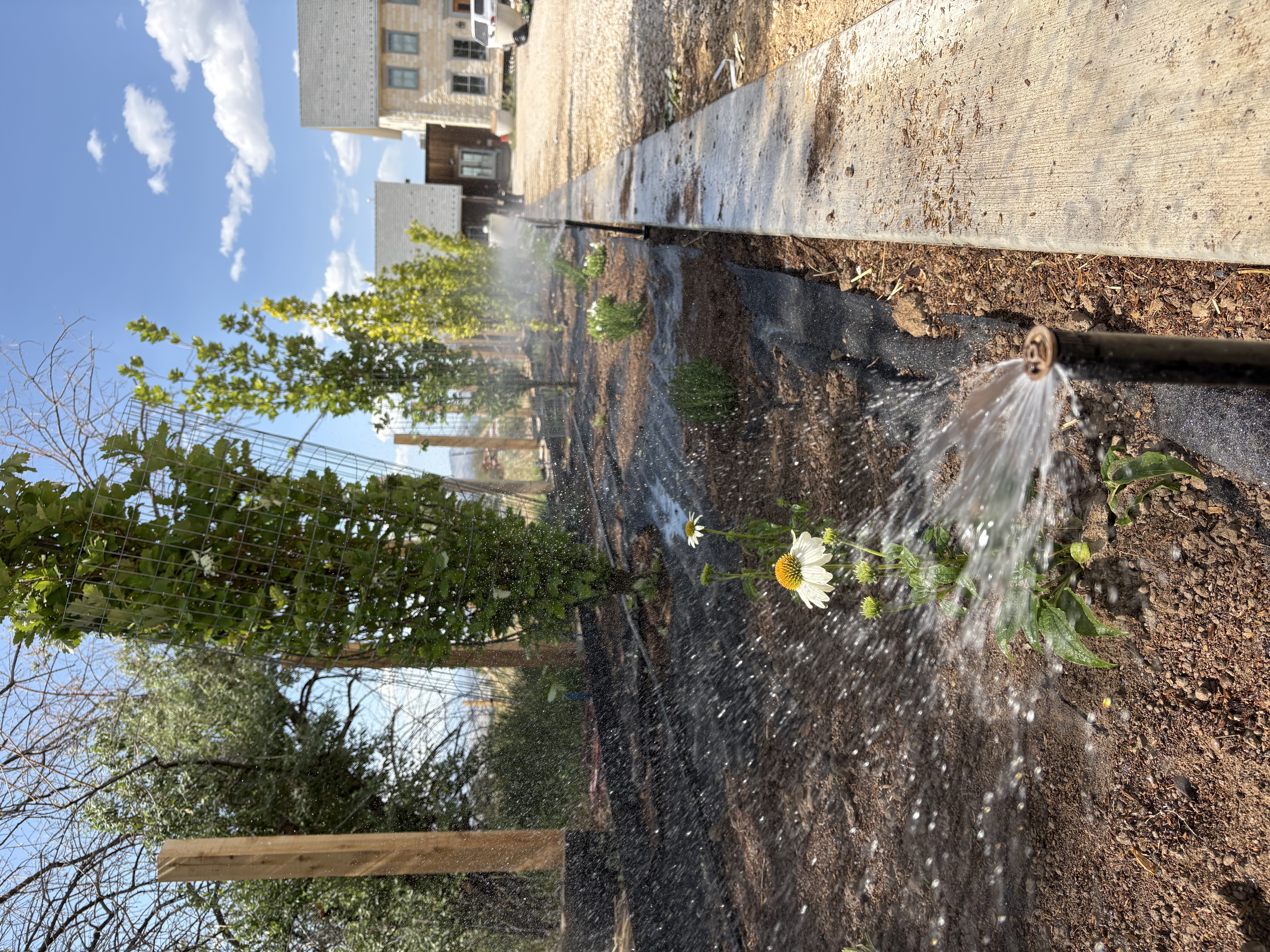Landscape Project